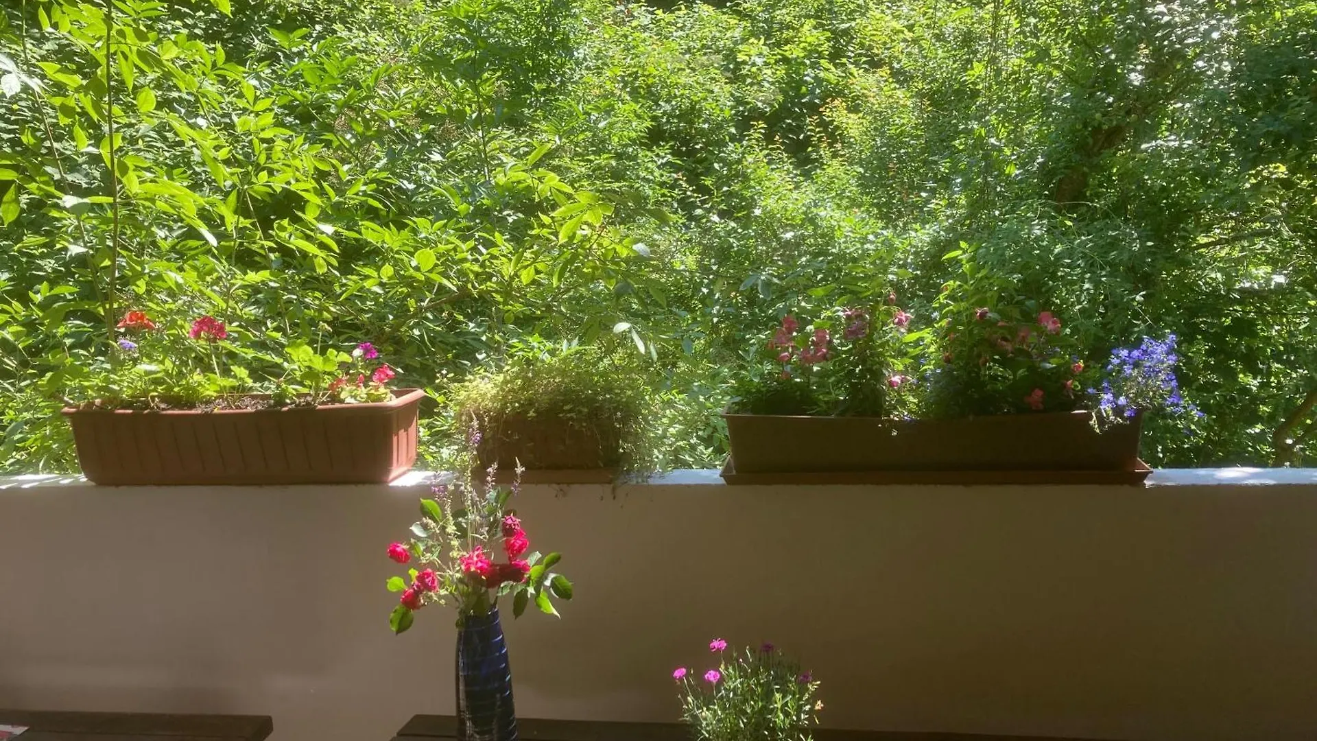 Guest house Pension Zur Freiheit Passau